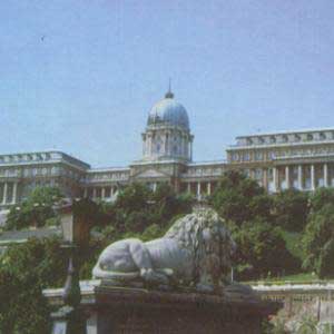 Click! �������